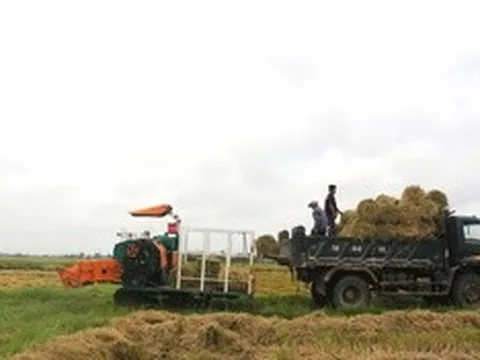 Cách giúp nông dân không phải vất vả xử lý rơm rạ mà vẫn có thu nhập