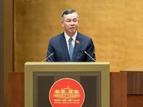 Đề xuất không quy định cứng ngưỡng doanh thu chịu thuế với hộ, cá nhân kinh doanh để tăng tính linh hoạt