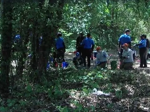 Phát hiện hài cốt nhiều trẻ em từ 3 đến 7 tuổi trong khu rừng