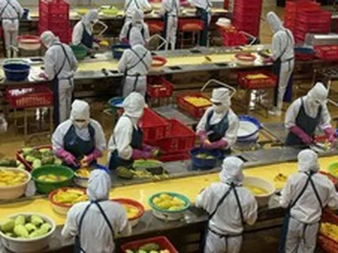 "Trụ đỡ" nông nghiệp trước áp lực giá: Cần chuyển mạnh từ sản lượng sang giá trị