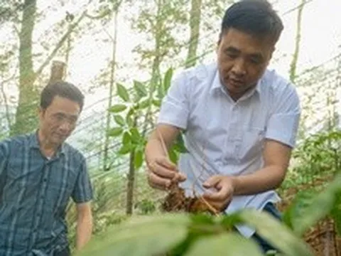 Nông nghiệp xanh, chuyển đổi số: Động lực mới cho tăng trưởng vùng biên