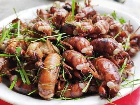 Ăn ve sầu, nam sinh 17 tuổi phải cấp cứu lúc nửa đêm