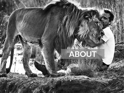 Bí mật khó tin của “dị nhân” khiến những con mãnh thú ngoan ngoãn đến lạ