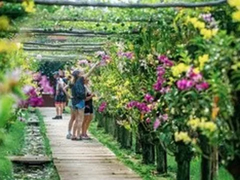 Nghệ thuật “tắm rừng” nơi biên viễn