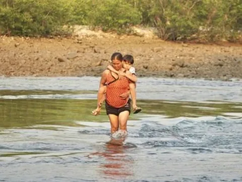 Không có cầu, cha mẹ "nín thở" cõng con vượt sông đến trường