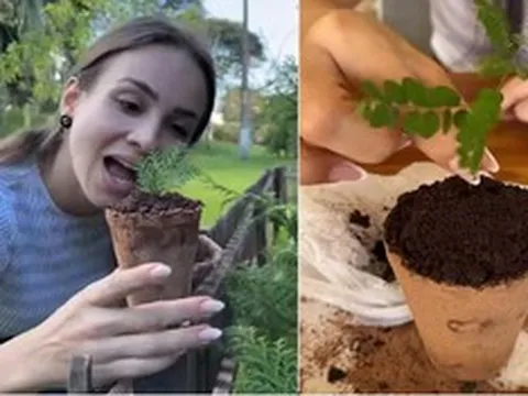 Cô gái trẻ ngày nào cũng ăn đất sét, bí ẩn phía sau khiến hàng triệu người choáng váng