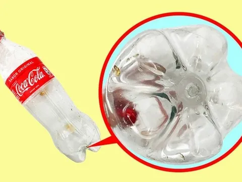 Vì sao đáy chai nước ngọt bằng nhựa thường có hình cánh hoa?