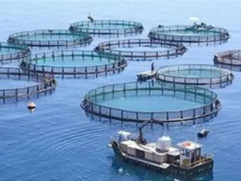 Khoa học, đổi mới sáng tạo là nền tảng để thủy sản vượt giới hạn cũ