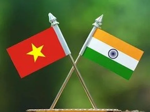 Đưa hợp tác thương mại, đầu tư Việt Nam - Ấn Độ sang giai đoạn mới