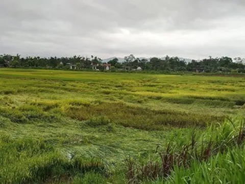 Dông lốc kèm mưa đá trút xuống, nhiều xã ở Hà Tĩnh chịu thiệt hại nặng