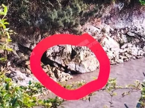 Bé trai 6 tuổi suýt mất mạng trong khi cha mẹ mải mê chụp ảnh