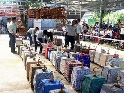 Cuộc thi chim giải thưởng 2 ô tô, hàng chục xe máy gây xôn xao, ban tổ chức nói gì?