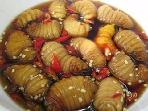 Món đặc sản nhìn tưởng “kinh dị”, giá 500.000 đồng/kg vẫn có người mua