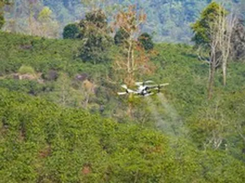 Sandbox công nghệ số: Từ khung pháp lý đến bước đi thực tiễn