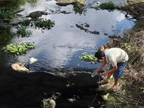 Quảng Ngãi: Dòng kênh thủy lợi đổi màu nước đen, bốc mùi hôi nồng nặc