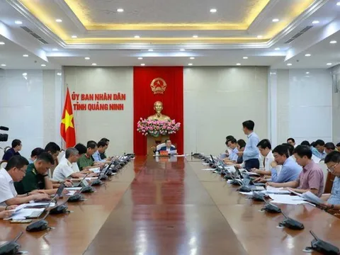 Quảng Ninh: Chủ tịch UBND tỉnh kiểm điểm tiến độ các tổ công tác trọng điểm