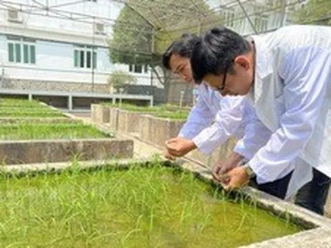 Khoa học công nghệ và hệ sinh thái giống: Đưa nông nghiệp Việt ra thế giới