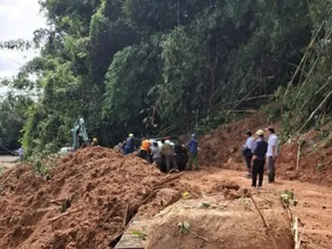 Lâm Đồng chuyển đổi hơn 5ha rừng khắc phục khẩn cấp sạt lở Quốc lộ 28