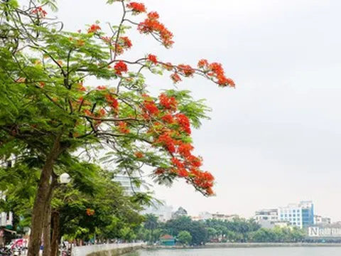 Kí ức niềm thương nhớ