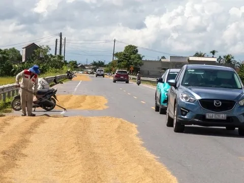 Bắt cóc bỏ đĩa