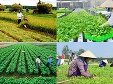 Đề xuất sửa đổi tiêu chí thụ hưởng chính sách hỗ trợ của Nhà nước đối với hợp tác xã