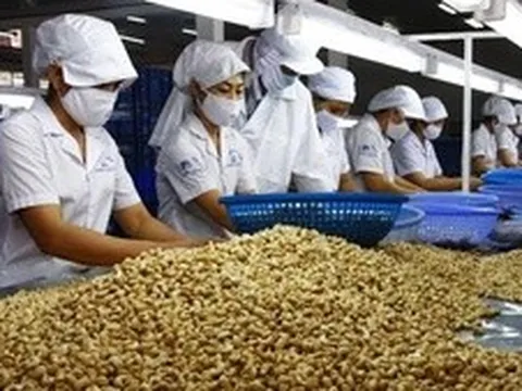 Ngành điều Việt Nam: Từ 'công xưởng chế biến' tới bài toán thương hiệu