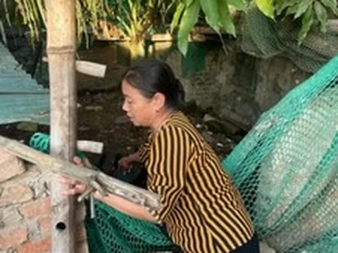 Kết thúc hoạt động và giải thể Quỹ Hỗ trợ Phụ nữ nghèo