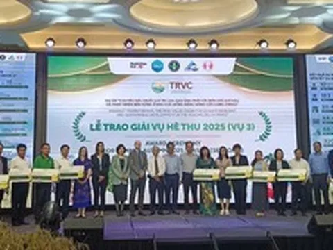 Giải thưởng giảm phát thải mở đường cho chuỗi lúa gạo xanh phát triển bền vững