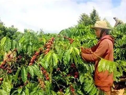 Nông nghiệp phát thải thấp: Động lực mới nâng sức cạnh tranh cho nông sản