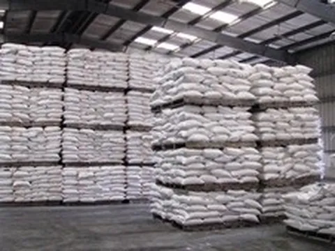 Hạt gạo Việt muốn đi xa phải có 'van điều tiết' thị trường