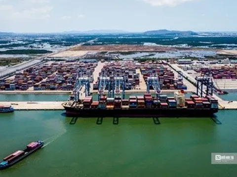 Cước biển tăng tới 80%, hàng Việt sang Nam Mỹ chịu áp lực cạnh tranh lớn