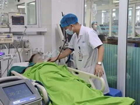 Gặt lúa giữa nắng nóng, 2 người đàn ông bị sốc nhiệt, suy đa tạng phải cấp cứu
