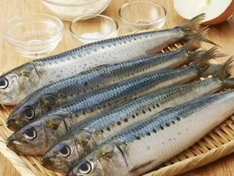 Loại cá "sạch nhất" là kho dinh dưỡng cho người bệnh tim mạch
