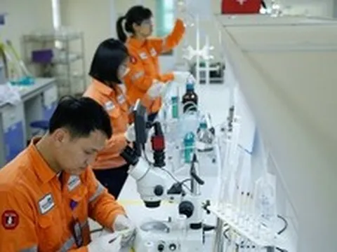 Masan High-Tech Materials vào Top 10 nơi làm việc tốt nhất Việt Nam