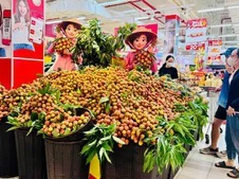 Nâng cao hiệu quả xúc tiến thương mại cho các nông sản chủ lực và sản phẩm OCOP