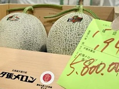 Hai quả dưa lưới được bán với giá gần 1 tỷ đồng