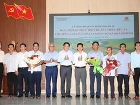 Lần đầu tiên ở ĐBSCL: Lập Ban Chỉ đạo cấp xã để dẫn dắt chuỗi lúa gạo