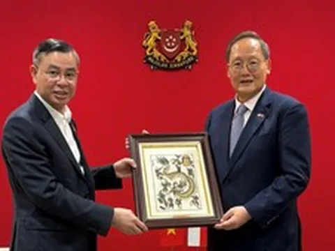 Việt Nam - Singapore thúc đẩy các dự án VSIP mới