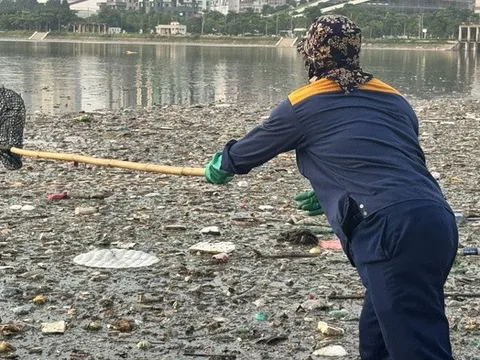 Hà Nội: Tái diễn tình trạng cá chết bốc mùi hôi thối ở công viên hơn 700 tỷ đồng