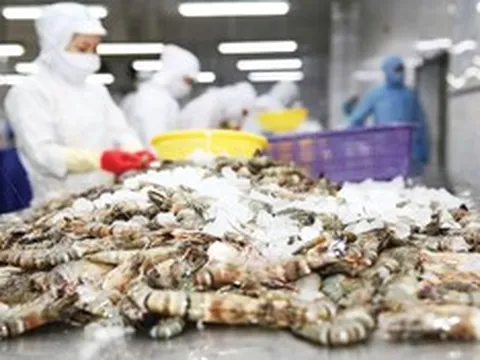 Ghẹ Việt Nam rộng cửa vào Mỹ, tôm tiếp tục chịu sức ép
