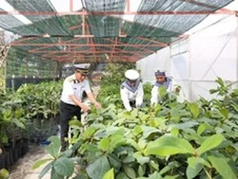 Những ‘cột mốc xanh’ ở Trường Sa