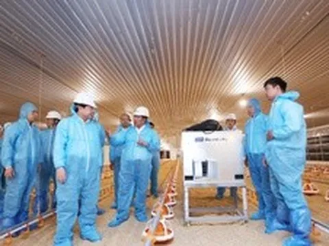 Dự án DHN Tây Ninh 2 - động lực mới cho ngành chăn nuôi công nghệ cao