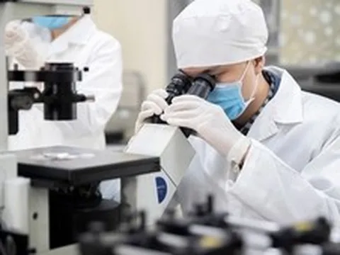 Khoa học cơ bản: Đầu tư dài hạn cho năng lực tự chủ quốc gia