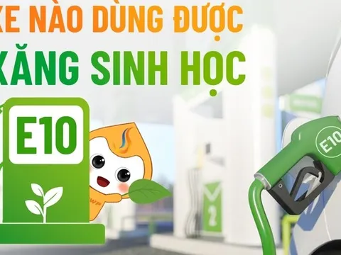 Xăng E10 bán đại trà, các hãng công bố mẫu xe tương thích và chế độ bảo hành