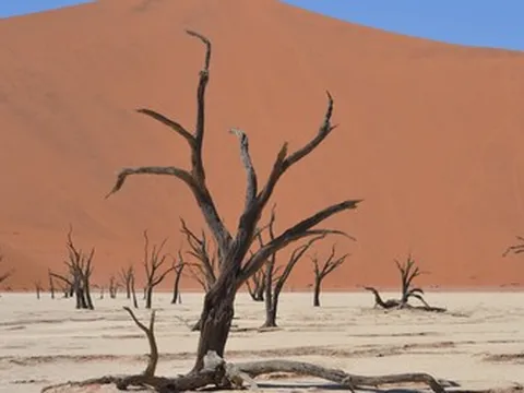 Liên Hợp Quốc cảnh báo về ảnh hưởng thời tiết từ hiện tượng El Nino