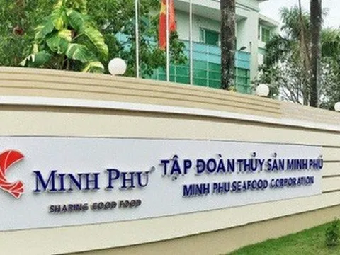 Lãnh đạo Minh Phú đăng ký bán gần hết cổ phiếu trước thềm ĐHĐCĐ 2026
