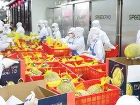 Xuất khẩu rau quả Việt Nam tăng tốc hướng tới mốc 10 tỷ USD