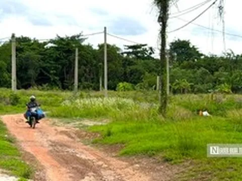 Cận cảnh dự án "treo" gần 20 năm, phơi sương phơi nắng giữa khu "đất vàng" Tp.HCM