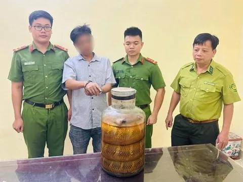 Bắt quả tang người đàn ông mang động vật quý hiếm ngâm rượu đi bán