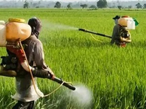 Chuyển mạnh từ 'tiền kiểm' sang 'hậu kiểm', tạo đà cho xuất khẩu nông sản